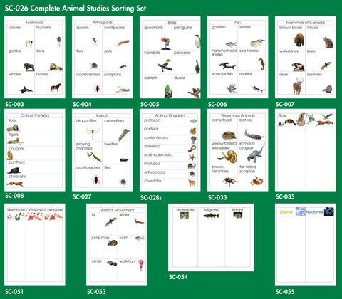 Animal Studies Sorting Set - M&M Montessori Materials
