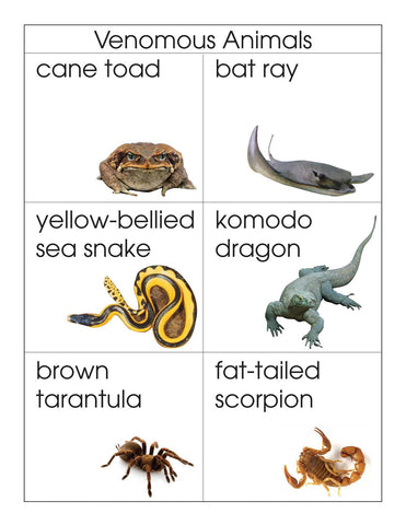 Venomous Animals - M&M Montessori Materials
