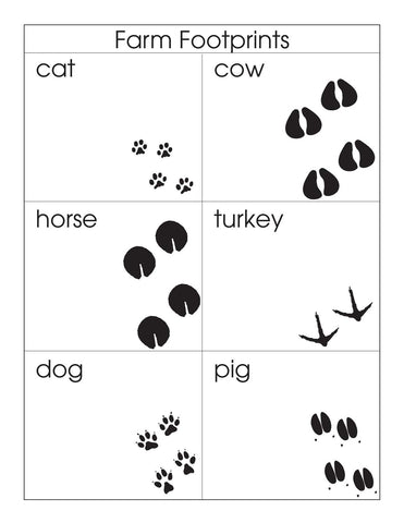 Animal Footprints Sorting Set - M&M Montessori Materials
 - 1