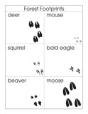 Animal Footprints Sorting Set - M&M Montessori Materials
 - 3