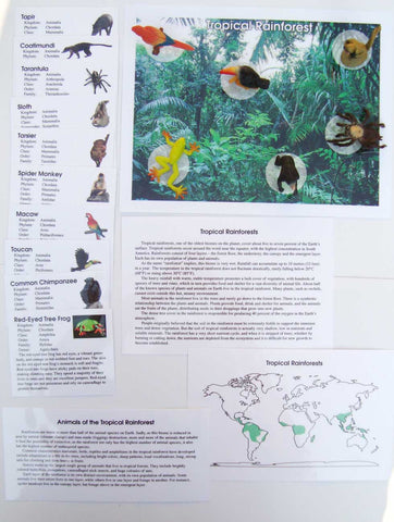 Tropical Rainforest - M&M Montessori Materials
