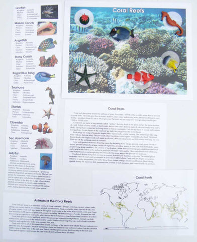 Coral Reef - M&M Montessori Materials
