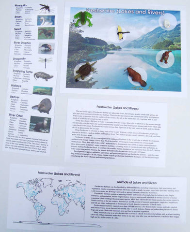 Freshwater (Lakes & Rivers) - M&M Montessori Materials
