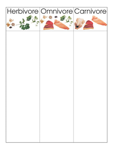 Herbivores/Omnivores/Carnivores - M&M Montessori Materials
