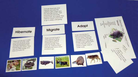Hibernate/Migrate/Adapt - M&M Montessori Materials
