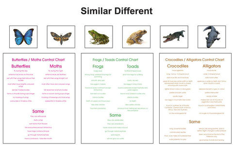 Similar/Different - M&M Montessori Materials
