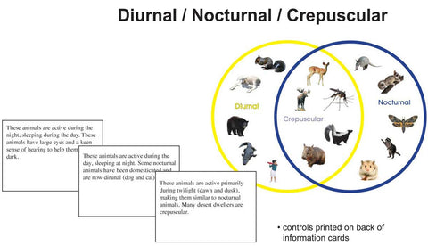 Diurnal/Nocturnal/Crepuscular - M&M Montessori Materials

