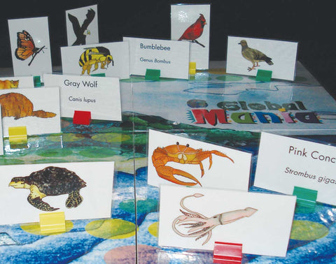 Global Mania - M&M Montessori Materials
