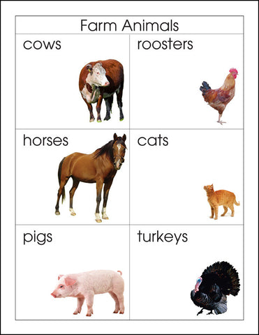 Farm Animals - M&M Montessori Materials
