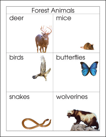 Forest Animals - M&M Montessori Materials
