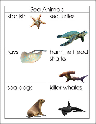 Sea Animals - M&M Montessori Materials
