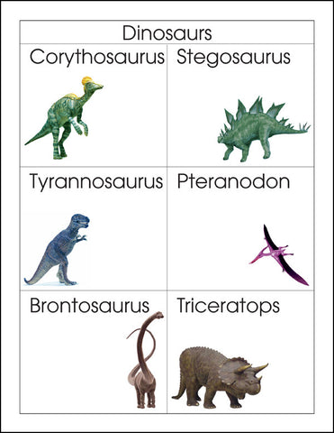 Dinosaurs - M&M Montessori Materials
