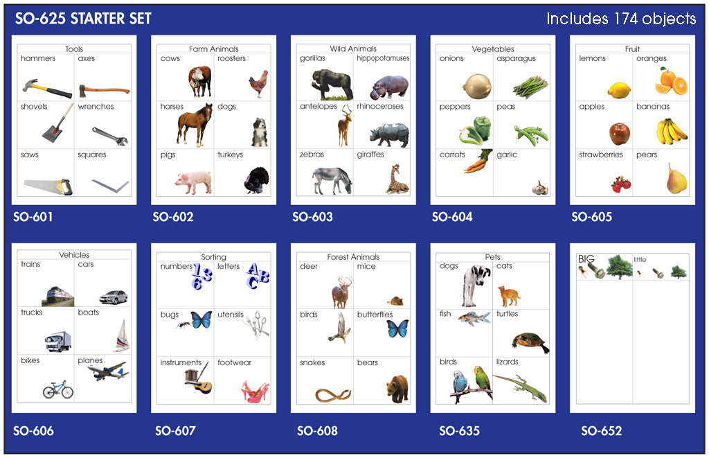Starter Sorting Set β Montessori Materials by Lakeview