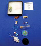 Rhyming Box - M&M Montessori Materials
 - 1