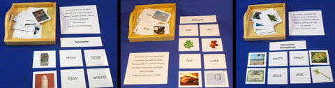 Synonyms, Antonyms, Homonyms - M&M Montessori Materials
