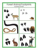 Animal Prints Cards - M&M Montessori Materials
 - 3