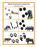 Animal Prints Cards - M&M Montessori Materials
 - 4