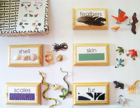 Products – Tagged "Zoology" – Montessori Materials by Lakeview
