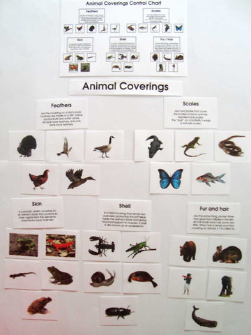 Animal Coverings - Advanced - M&M Montessori Materials
